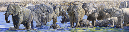 African Elephant family painting & giclee art prints