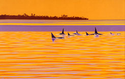 Orca Whale Art Print