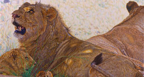 Lions Around Painting